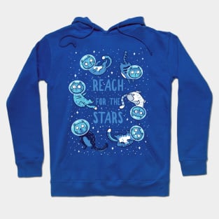 Reach for the stars Hoodie